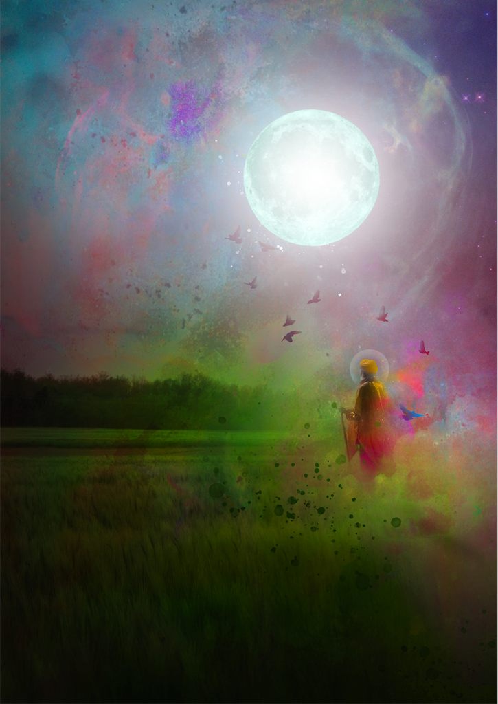 Nanak and the nine birds Inkquisitive painting